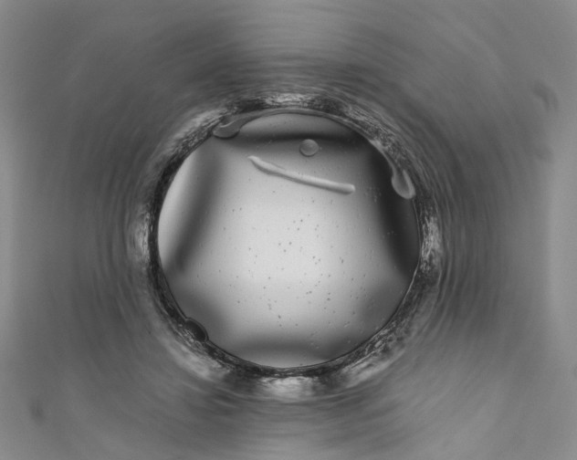 X0000110870452200907021440