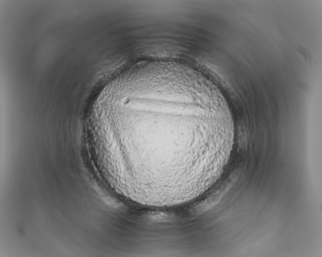 X0000110870453200907021440