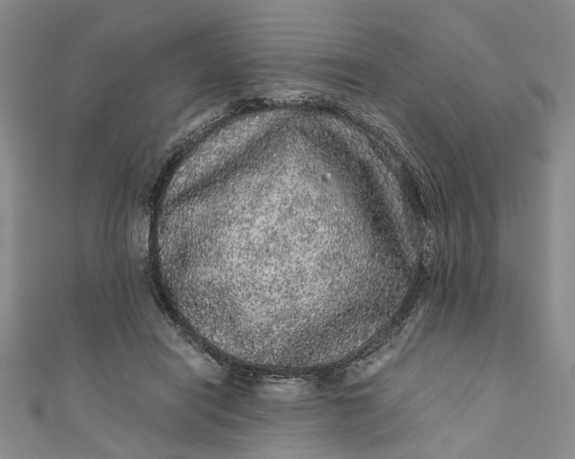 X0000110870454200907021440