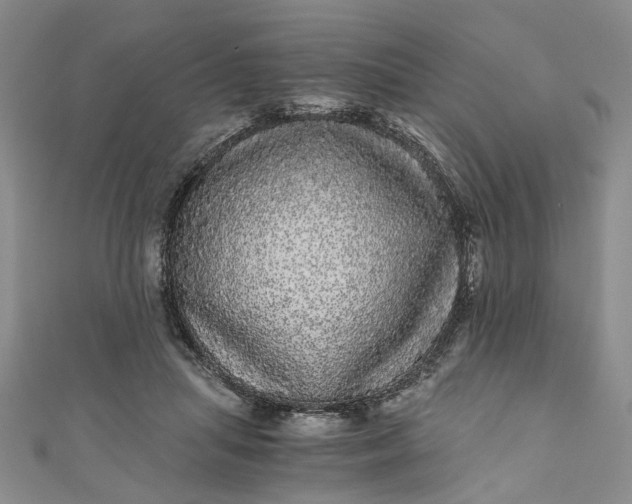 X0000110870455200907021440