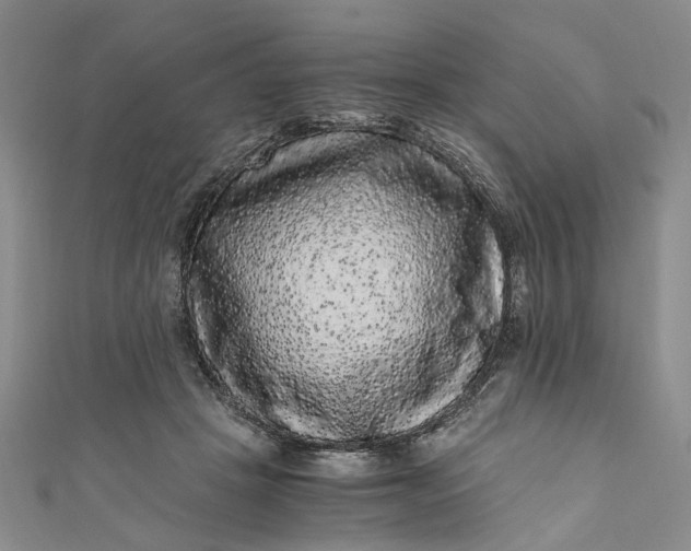 X0000110870457200907021440