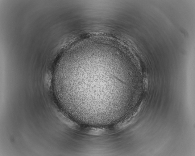 X0000110870458200907021440