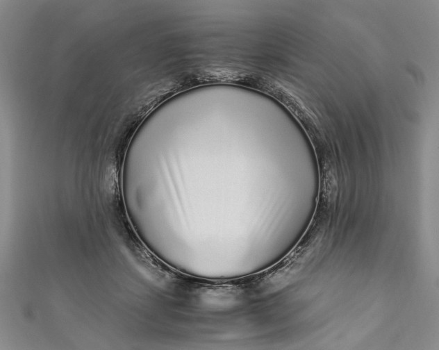 X0000110870459200907021440