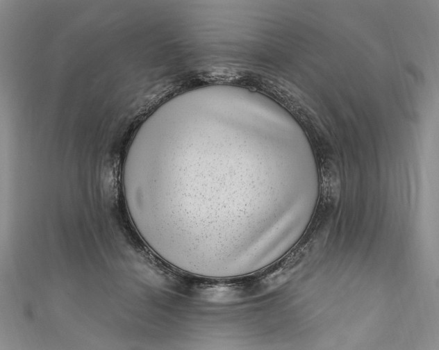 X0000110870460200907021440