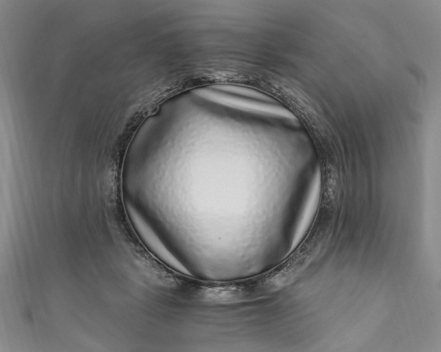 X0000110870461200907021440