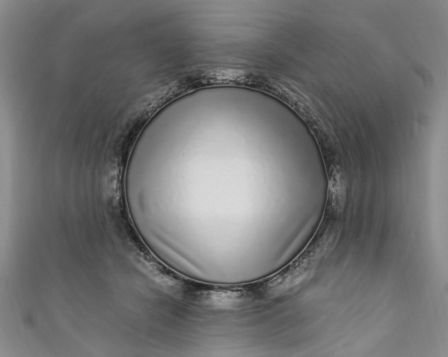 X0000110870462200907021440