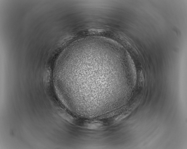 X0000110870463200907021440