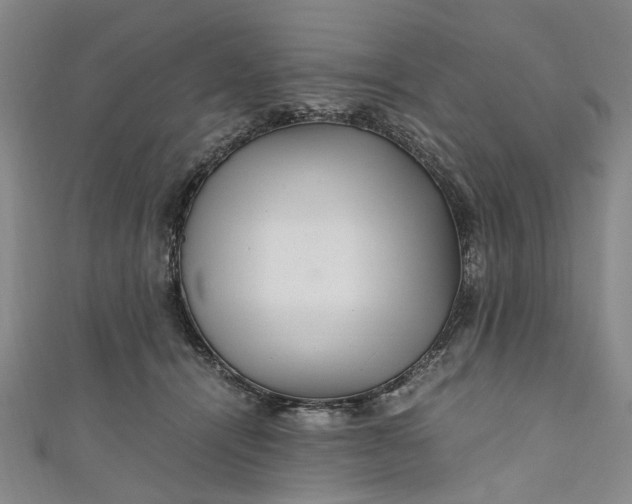 X0000110870464200907021440