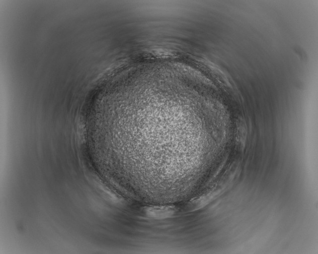 X0000110870465200907021440