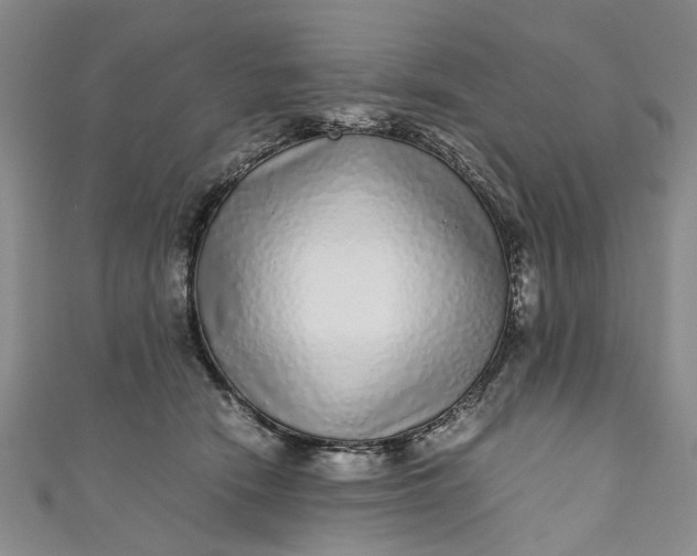 X0000110870466200907021440