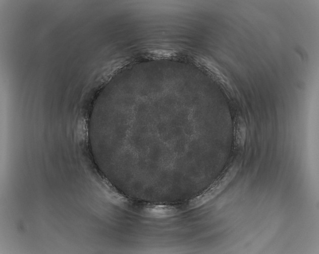 X0000110870467200907021440