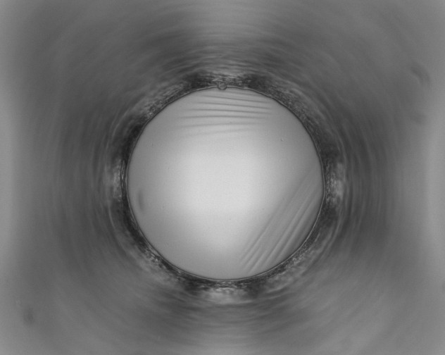 X0000110870468200907021440