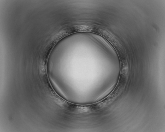 X0000110870469200907021440