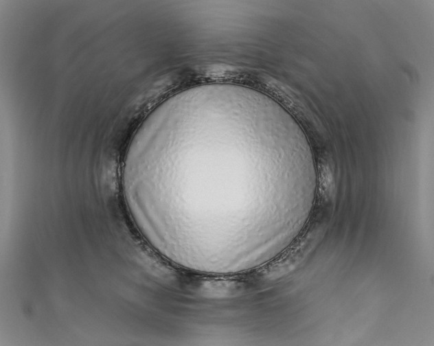 X0000110870470200907021440