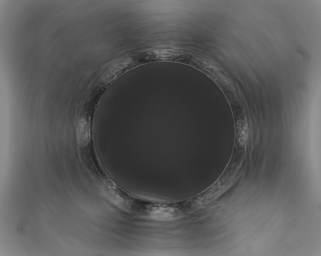 X0000110870471200907021440