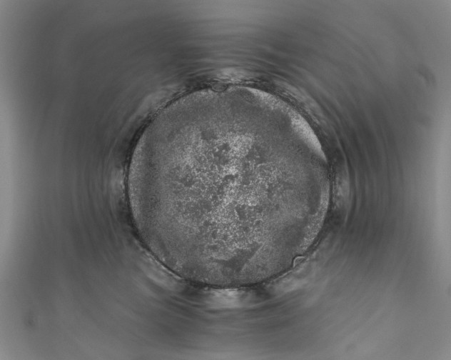 X0000110870473200907021440