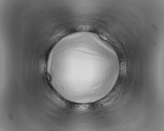 X0000110870474200907021440