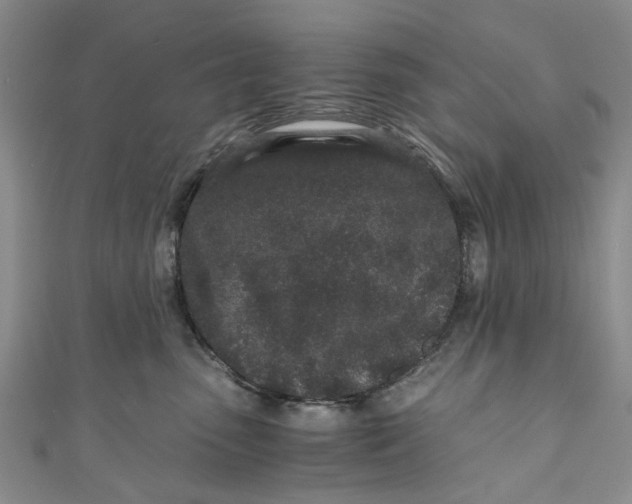 X0000110870475200907021440