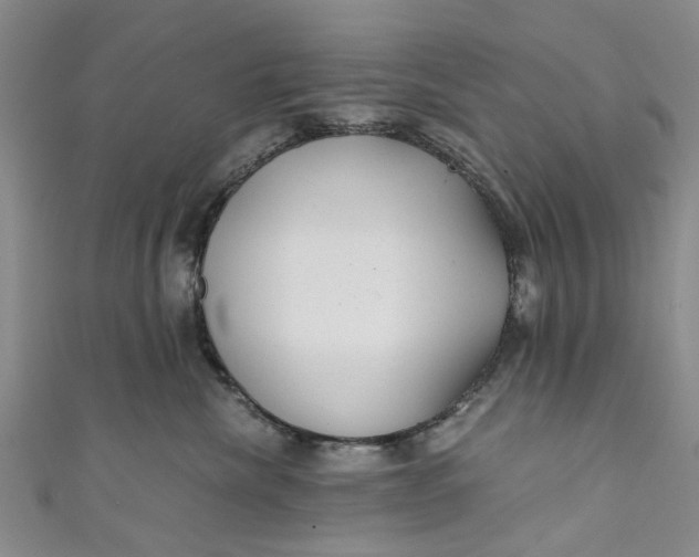 X0000110870476200907021440