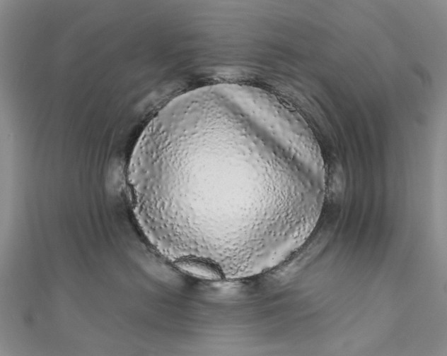 X0000110870478200907021440