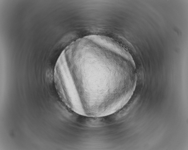 X0000110870479200907021440