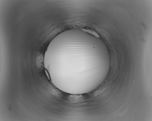 X0000110870480200907021440