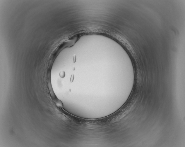 X0000110870481200907021440