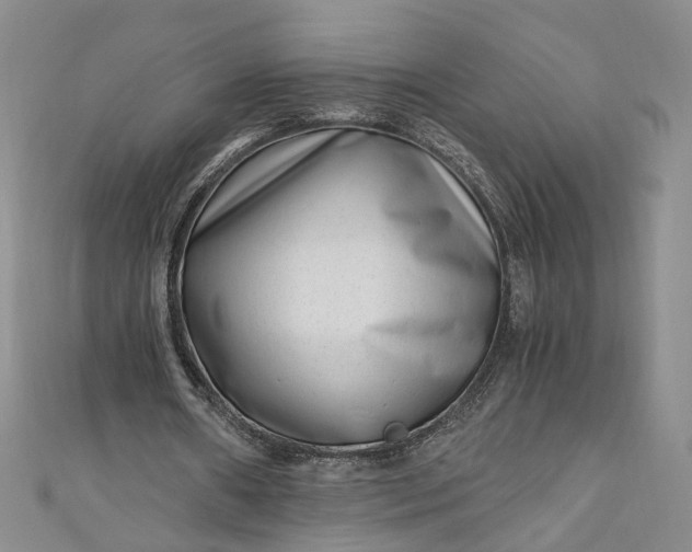 X0000110870482200907021440