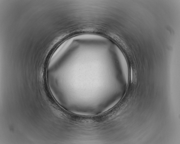 X0000110870483200907021440