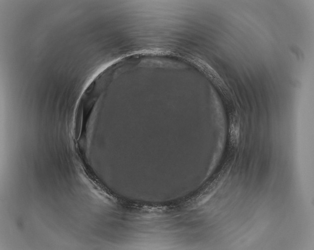 X0000110870484200907021440