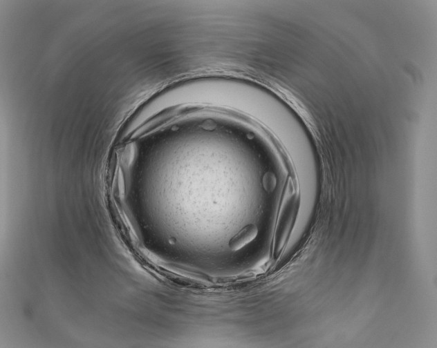 X0000110870485200907021440