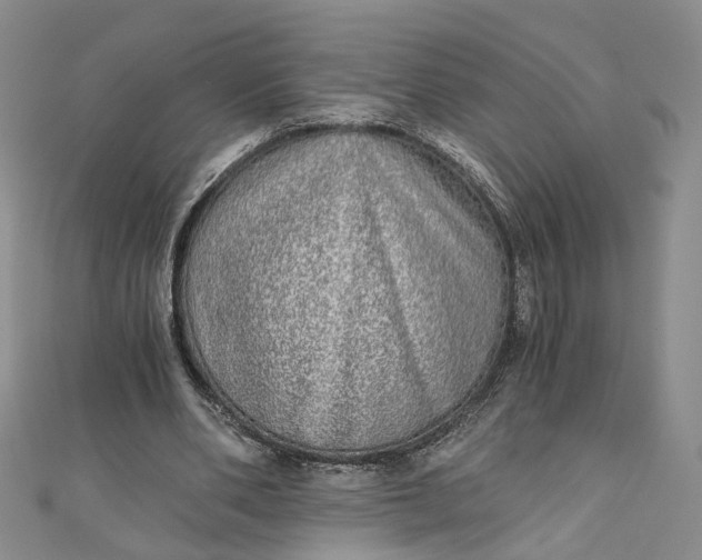 X0000110870486200907021440