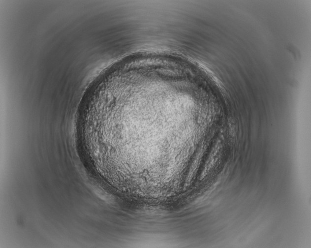 X0000110870487200907021440