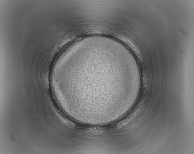 X0000110870489200907021440