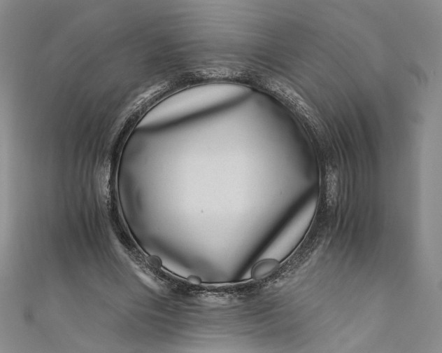 X0000110870490200907021440