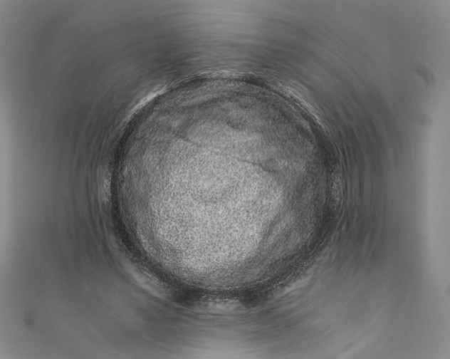 X0000110870491200907021440