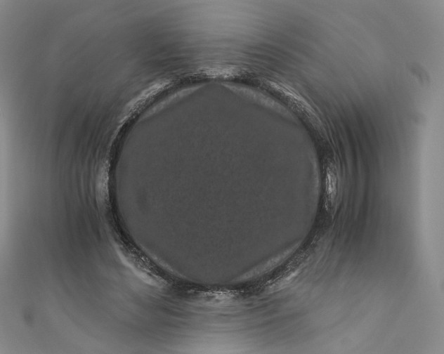 X0000110870492200907021439