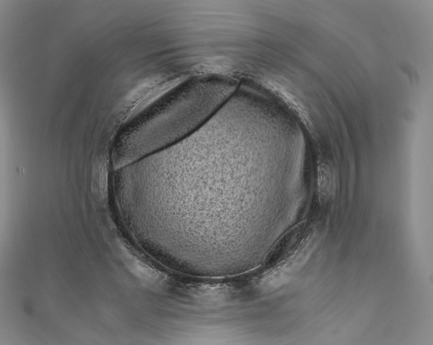 X0000110870493200907021439