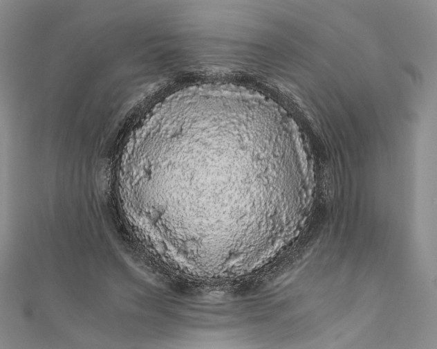 X0000110870495200907021439