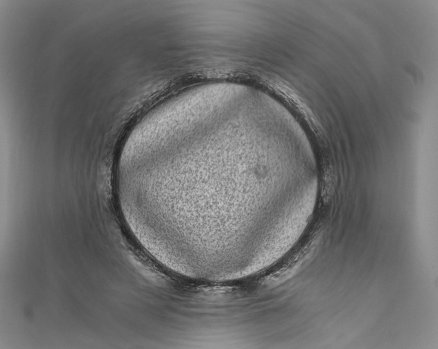 X0000110870497200907021439