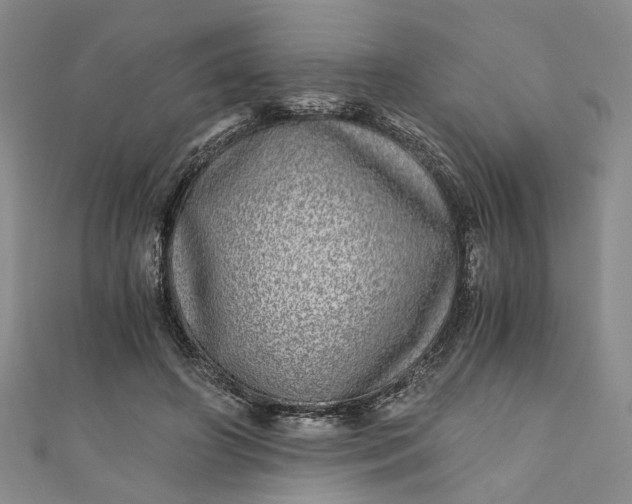 X0000110870498200907021439