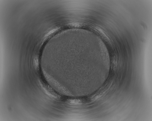 X0000110870500200907021439