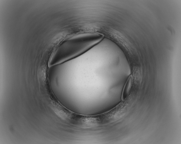 X0000110870501200907021439