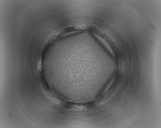 X0000110870502200907021439