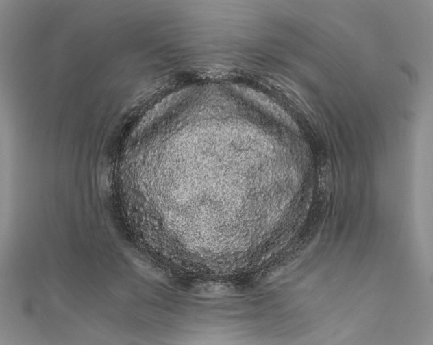 X0000110870503200907021439