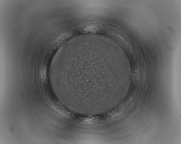 X0000110870504200907021439