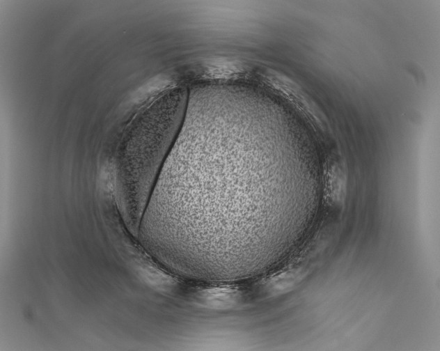 X0000110870505200907021439