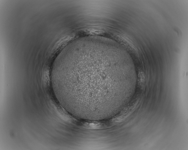 X0000110870506200907021439