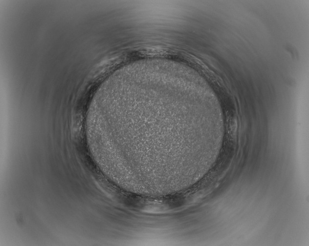 X0000110870507200907021439