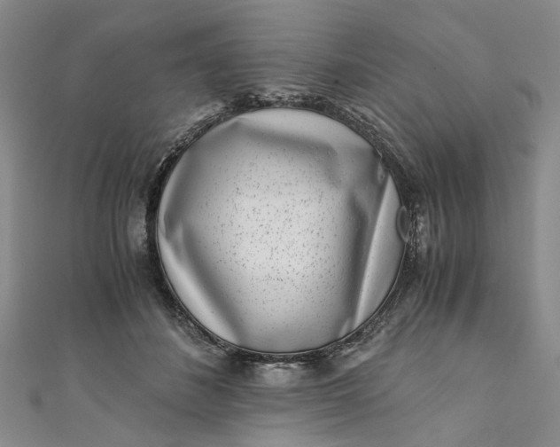 X0000110870508200907021439